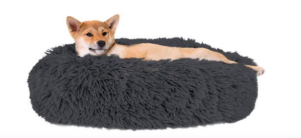 9 geriausios šunų lovos, ant kurių jūsų šuniui patiks priglausti