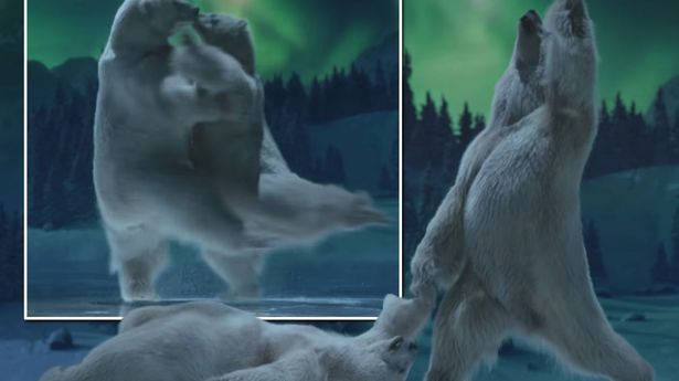 Посмотрите рекламу Dancing On Ice - очаровательный первый трейлер с изображением белых медведей, катающихся на коньках, растопил сердца зрителей